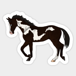 Overo Horse Sticker